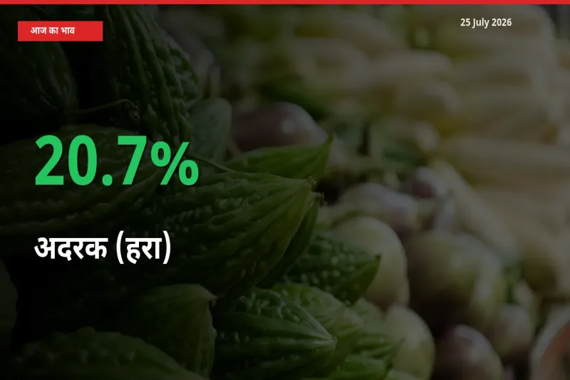 अचानक तेजी! मंडी में अदरक (हरा) के दाम 20.7% चढ़े