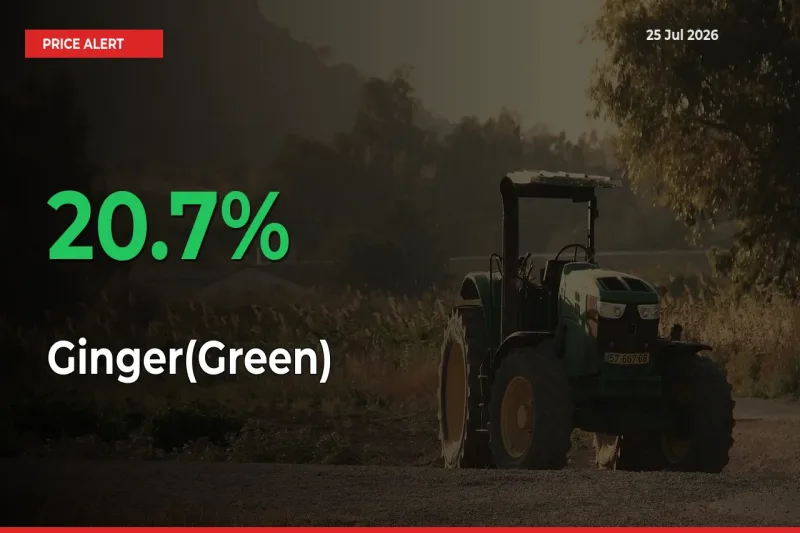 Ginger(Green) Prices Rise 20.7% in a Day at Major Mandis