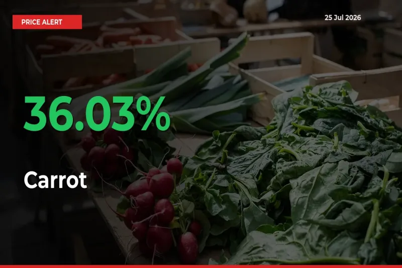 Carrot Rises 36.03% at Mandis