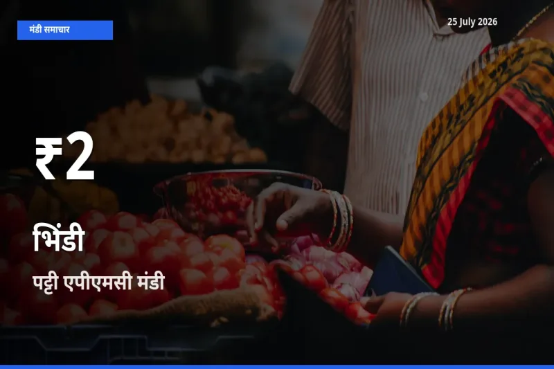 भिंडी के दाम 30 दिनों के सबसे निचले स्तर पर, पट्टी एपीएमसी