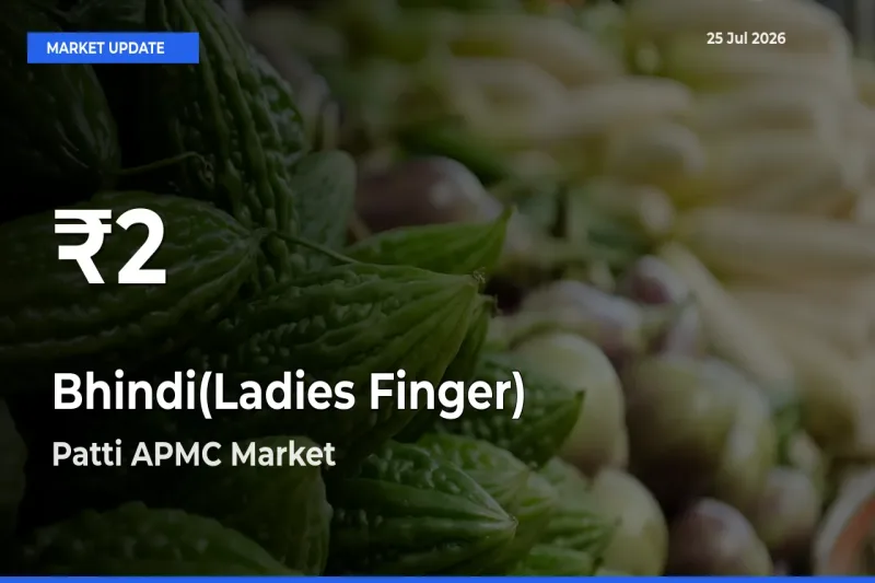 Farmers Concerned as Bhindi(Ladies Finger) Hits 30-Day Low in Patti APMC