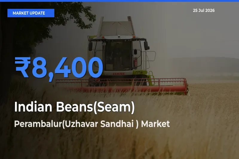 Market Watch: Perambalur(Uzhavar Sandhai ) Becomes Top Mandi for Indian Beans(Seam)
