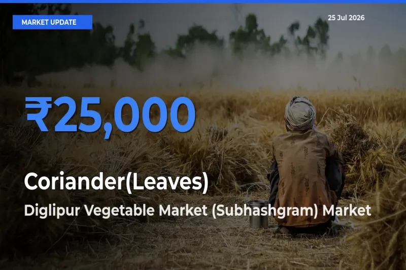 Diglipur Vegetable Market (Subhashgram) Tops Coriander(Leaves) Mandi Rates Today