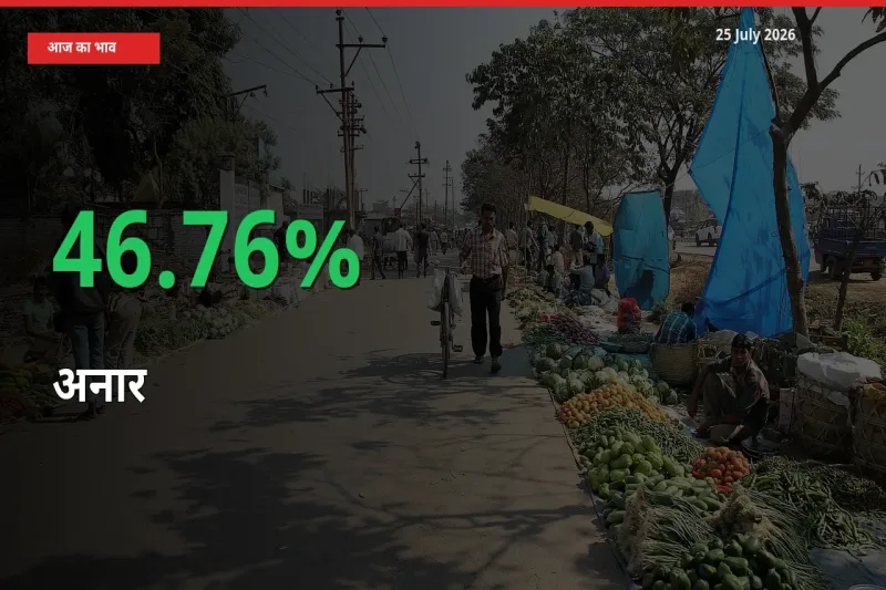 आज का मंडी भाव: अनार के दाम मंडी में 46.76% ऊपर