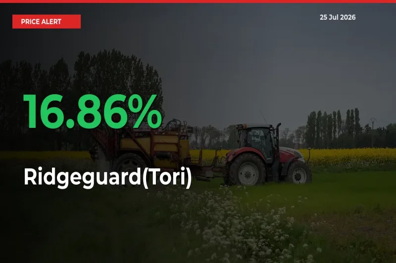 This Mandi Records 16.86% Jump in Ridgeguard(Tori) Prices