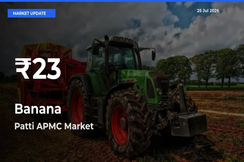 Big Drop! Banana Slides to 30-Day Low at Patti APMC