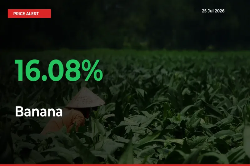 Why Banana Prices Rose 16.08% in a Day at Mandis