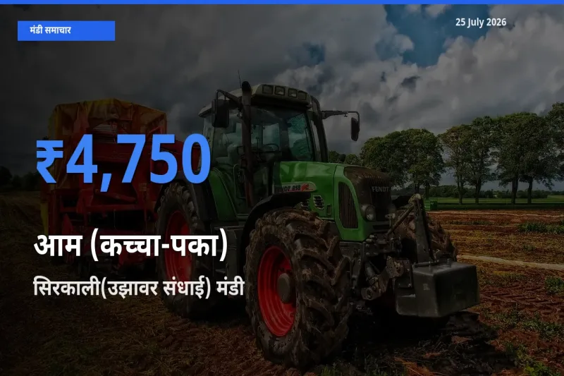 आज का मंडी भाव: आम (कच्चा-पका) के सबसे ज़्यादा दाम सिरकाली(उझावर संधाई) में