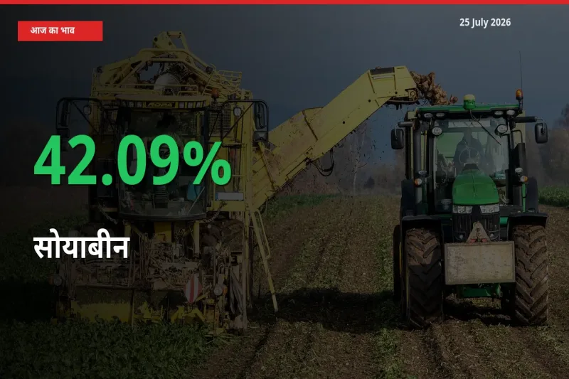 अचानक तेजी! मंडी में सोयाबीन के दाम 42.09% चढ़े