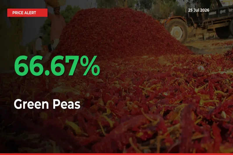 Green Peas Mandi Rate Today: Prices Jump 66.67% at Market