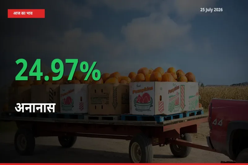 25 July अपडेट: अनानास के दाम मंडी में 24.97% उछले
