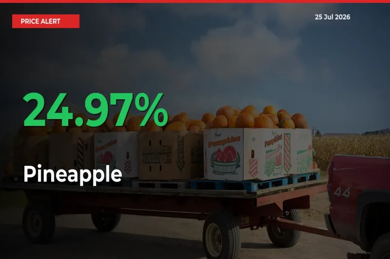Why Pineapple Prices Rose 24.97% in a Day at Mandis
