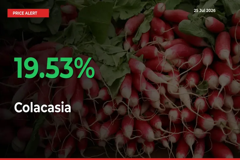 Sudden 19.53% Rally in Colacasia Prices Across Mandis