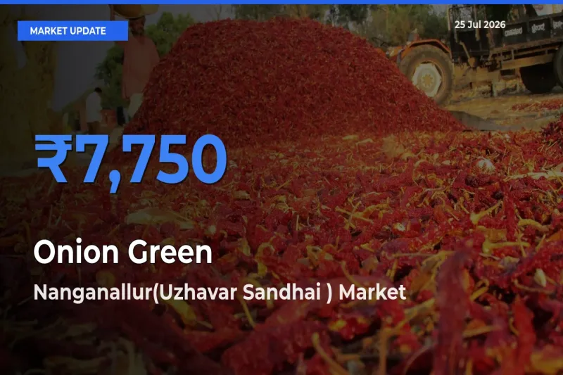 Nanganallur(Uzhavar Sandhai ) Tops Onion Green Mandi Rates Today