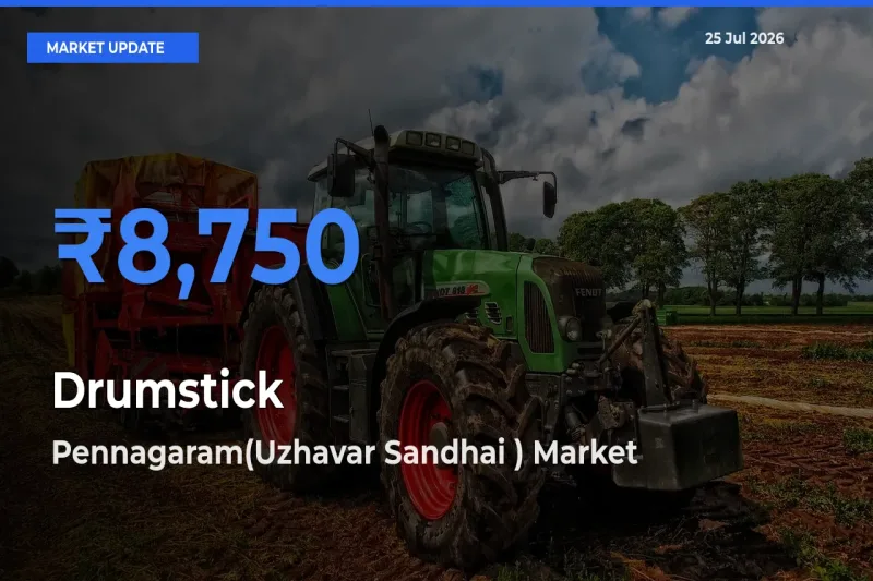 Pennagaram(Uzhavar Sandhai ) Records Highest ₹8,750 Rate for Drumstick