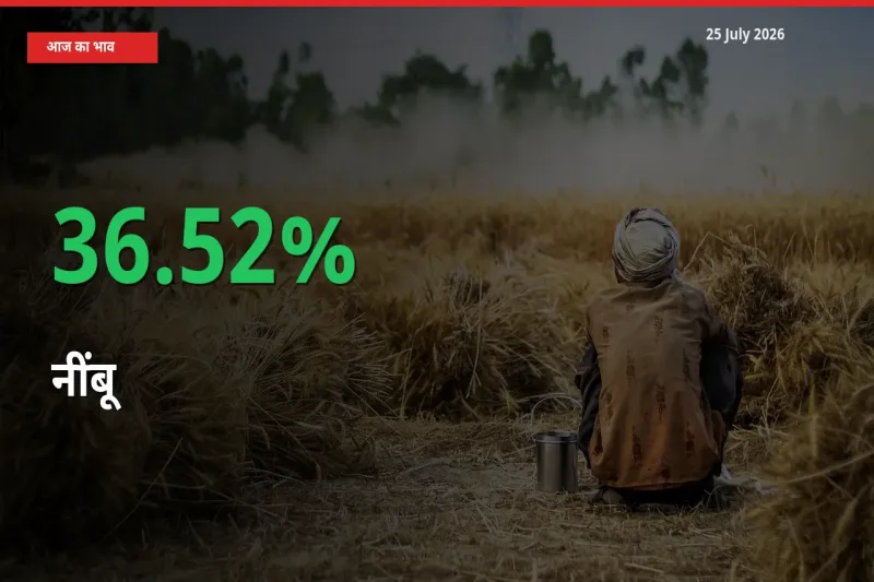 अचानक तेजी! मंडी में नींबू के दाम 36.52% चढ़े