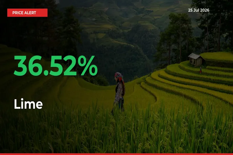 Lime Rises 36.52% at Mandis