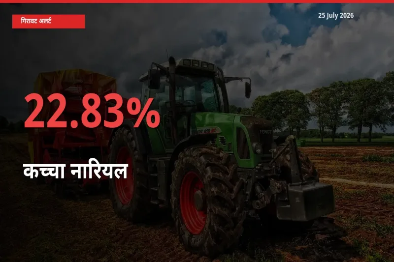 कच्चा नारियल के दाम प्रमुख मंडी में 22.83% गिरे, 24 घंटे में बड़ा बदलाव