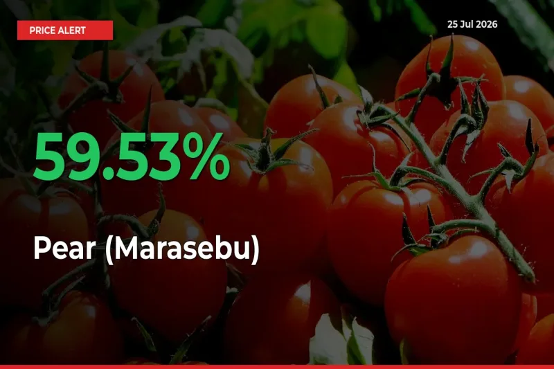 59.53% Spike in Pear (Marasebu) Prices – Mandi Sees Sudden Rally