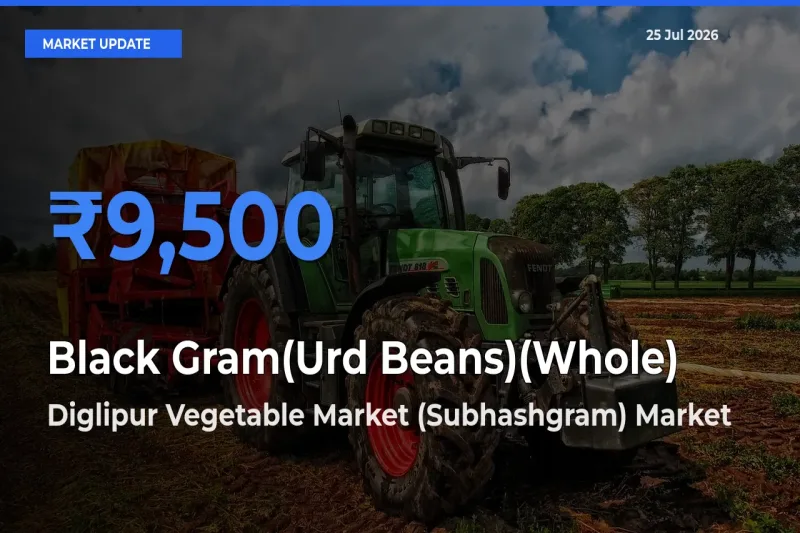 Market Watch: Diglipur Vegetable Market (Subhashgram) Becomes Top Mandi for Black Gram(Urd Beans)(Whole)