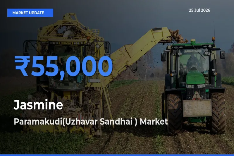 Paramakudi(Uzhavar Sandhai ) Offers ₹55,000 – Highest Jasmine Rate Today
