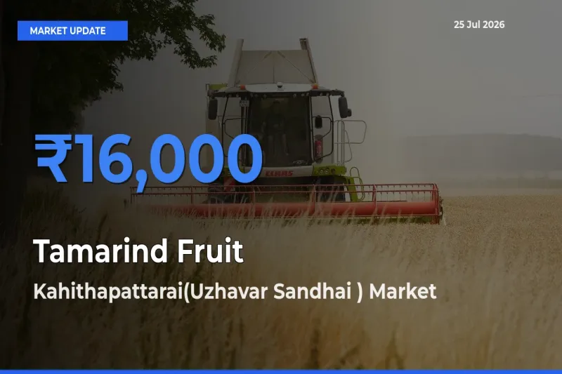 Kahithapattarai(Uzhavar Sandhai ) Tops Tamarind Fruit Mandi Rates Today