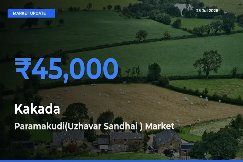 Paramakudi(Uzhavar Sandhai ) Records Highest ₹45,000 Rate for Kakada