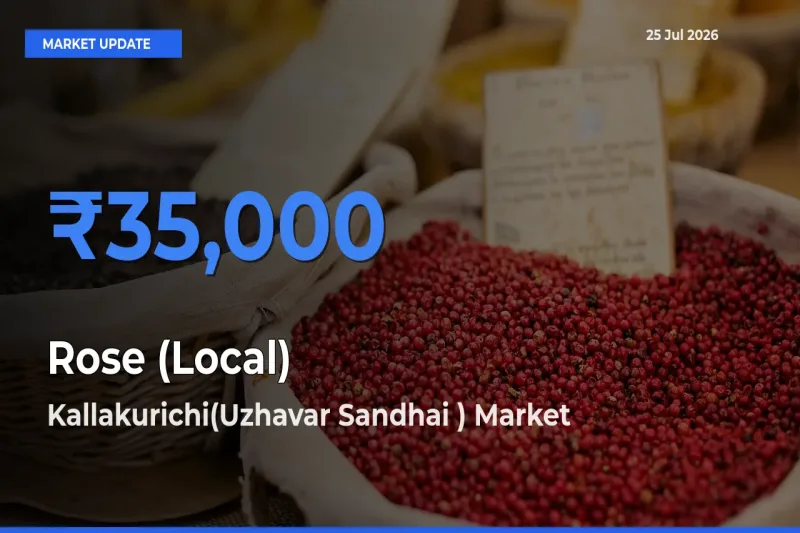Kallakurichi(Uzhavar Sandhai ) Tops Rose (Local) Rates – July 25 Market Update