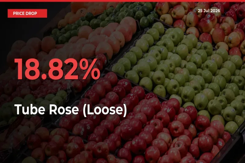 18.82% Drop in Tube Rose (Loose) Prices – Mandi Sees Sudden Fall