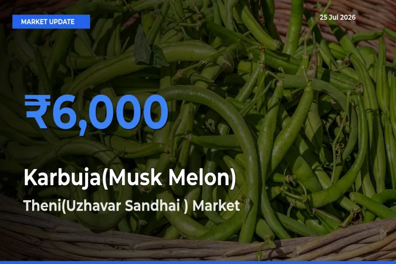 Farmers Prefer Theni(Uzhavar Sandhai ) as Karbuja(Musk Melon) Hits Highest Rate