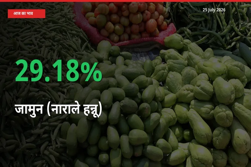 आज का मंडी भाव: जामुन (नाराले हन्नू) के दाम मंडी में 29.18% ऊपर
