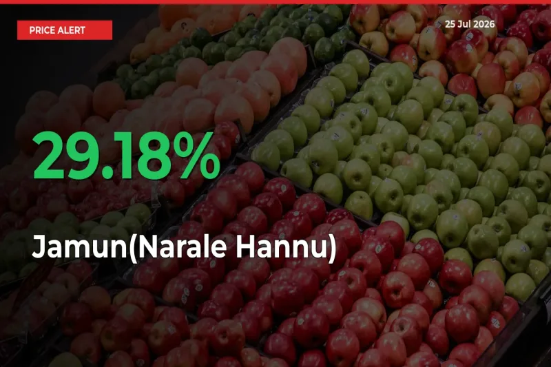 Farmers Cheer as Jamun(Narale Hannu) Prices Surge 29.18% in Local Mandis