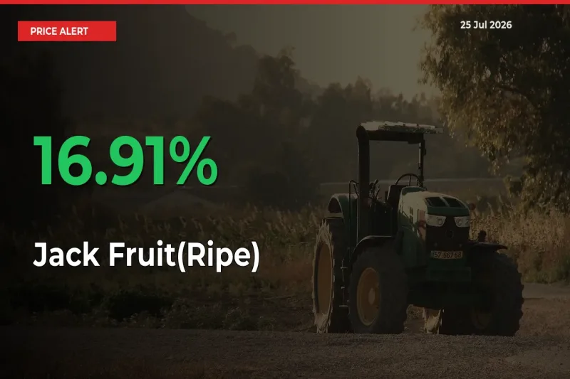 16.91% Spike in Jack Fruit(Ripe) Prices – Mandi Sees Sudden Rally