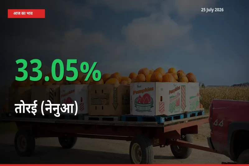 स्थानीय मंडी में तोरई (नेनुआ) के दाम अचानक 33.05% उछले, किसान सतर्क