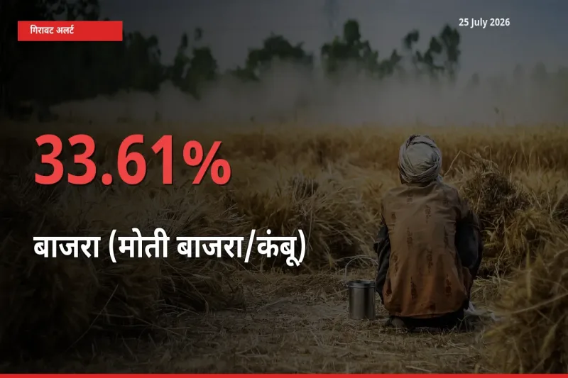 अचानक झटका! मंडी में बाजरा (मोती बाजरा/कंबू) के दाम 33.61% टूटे