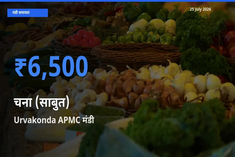 Urvakonda APMC मंडी में आज चना (साबुत) के सबसे ऊँचे दाम दर्ज