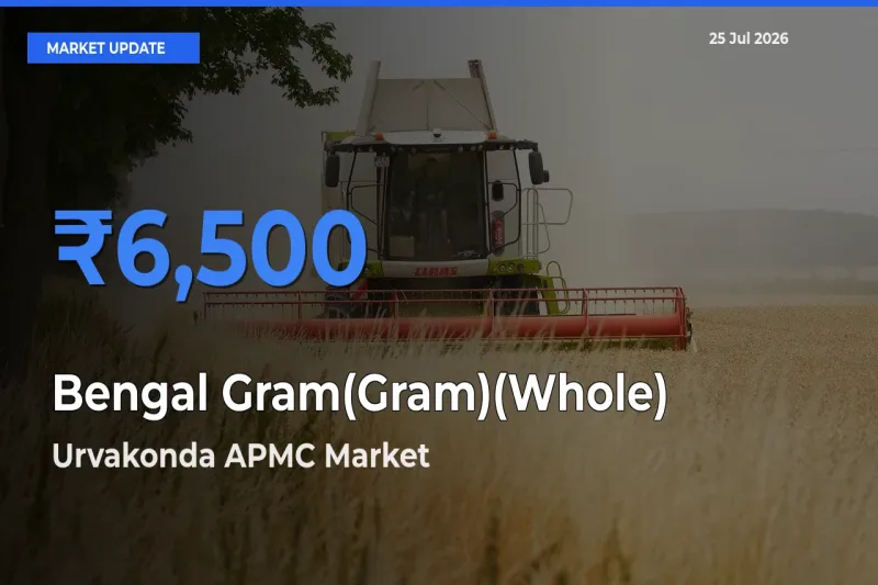 Urvakonda APMC Records Highest ₹6,500 Rate for Bengal Gram(Gram)(Whole)