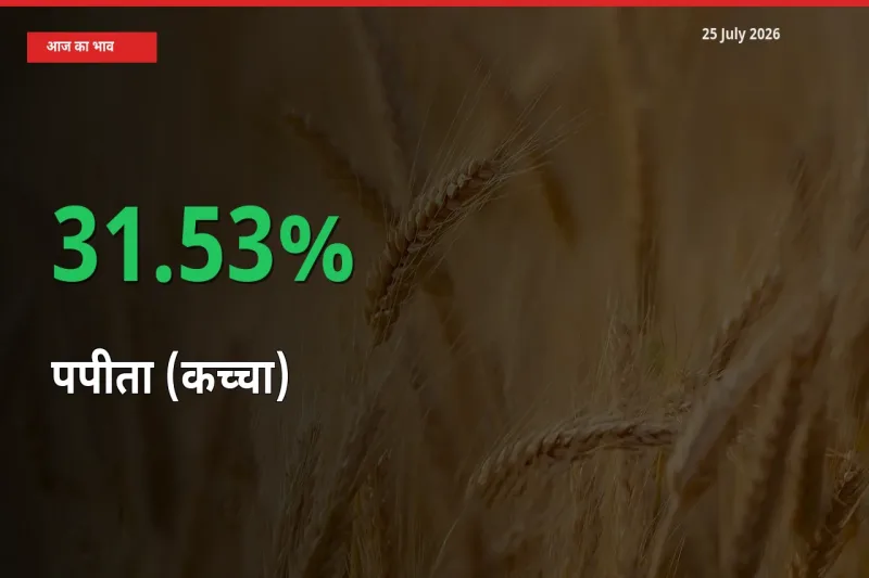 25 July अपडेट: पपीता (कच्चा) के दाम मंडी में 31.53% उछले