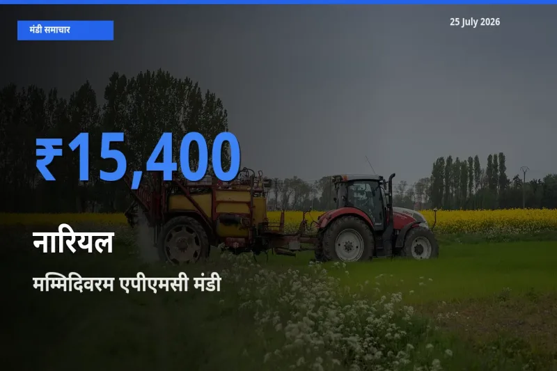 मम्मिदिवरम एपीएमसी मंडी में नारियल ₹15,400 पर पहुँचा – आज का सर्वोच्च भाव