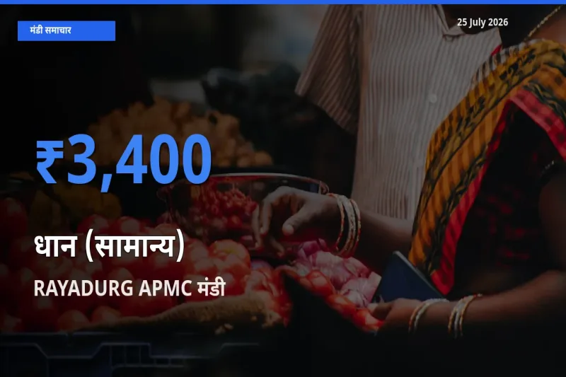 आज का मंडी भाव: धान (सामान्य) के सबसे ज़्यादा दाम RAYADURG APMC में