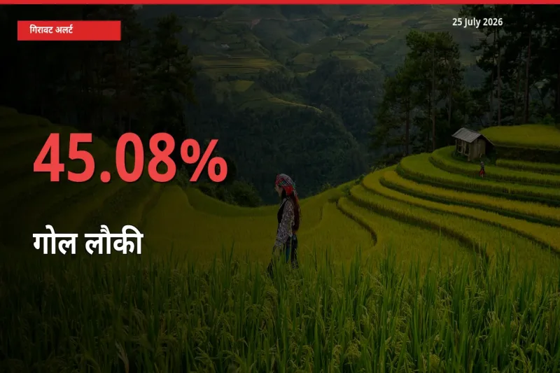 आज का मंडी भाव: गोल लौकी के दाम मंडी में 45.08% नीचे