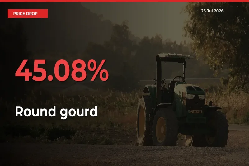 Round gourd Prices Drop 45.08% in 24 Hours at Major Mandis