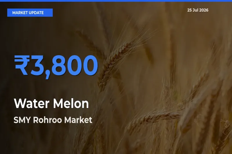 SMY Rohroo Offers ₹3,800 – Highest Water Melon Rate Today