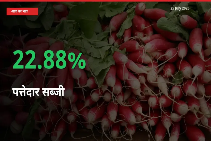 पत्तेदार सब्जी के दाम प्रमुख मंडी में 22.88% बढ़े, 24 घंटे में बड़ा बदलाव