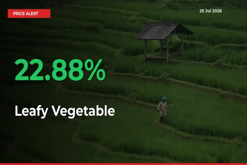 This Mandi Records 22.88% Jump in Leafy Vegetable Prices