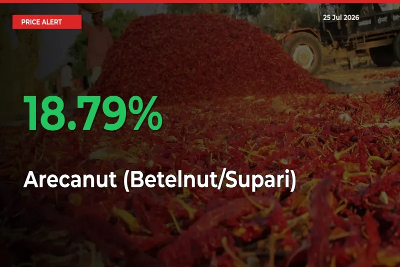 This Mandi Records 18.79% Jump in Arecanut (Betelnut/Supari) Prices