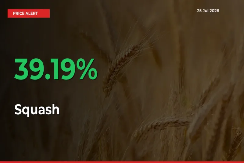 Squash Mandi Rate Today: Prices Jump 39.19% at Market
