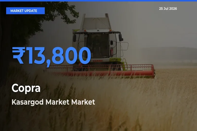 Kasargod Market Tops Copra Mandi Rates Today