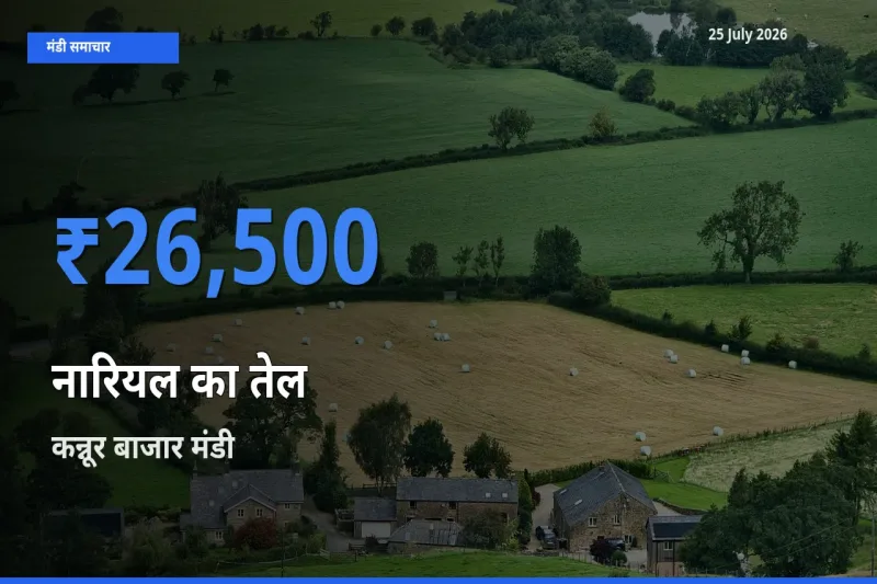 25 July अपडेट: नारियल का तेल के सबसे ऊँचे दाम कन्नूर बाजार मंडी में