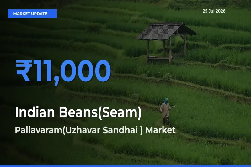 Pallavaram(Uzhavar Sandhai ) Leads as Top Mandi for Indian Beans(Seam) Prices